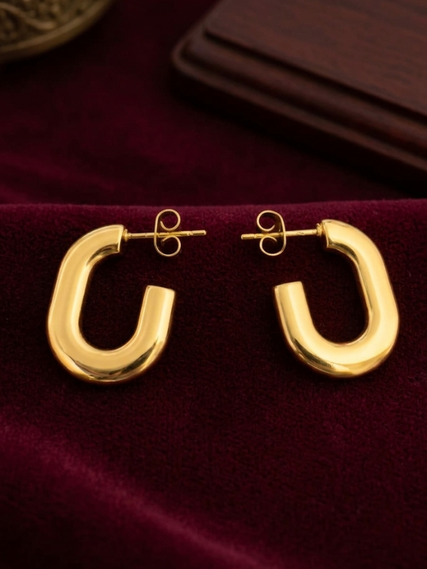 Chubby Hoop Earrings